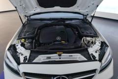 2021 Mercedes-Benz C-Class 2021 1.5T AT C260LSportstar shineCollector #10