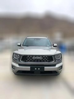 2023 Haval Big Dog Plus 2023 1.5T AT 2WDShionoEditionplus #2