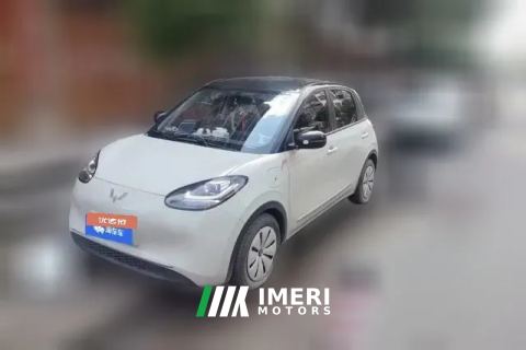 2023 Wuling Motors Wuling Bingo 2023 333KM Enjoy