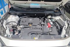2025 Toyota RAV4 2024 2.0L AT CVT2WDUrbanEdition #10