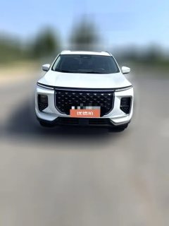 2024 Jetour Shanhai Jetour Shanhai L9 2024 1.5TD 2DHT Pro 7Seat #2