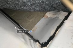 Right Rear Carpet