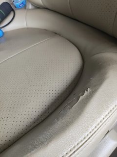 Driver Seat