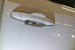 Right Front Door Handle