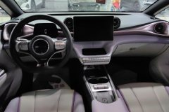 2022 BYD Dolphin 2021 401km knightEdition #12