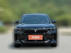 2024 Voyah Free 2025 318 318km RWDTravel aroundEdition #2