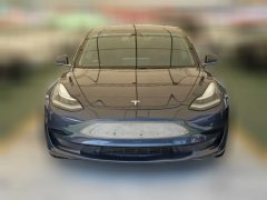 2020 Tesla Model 3 2019 StandardBattery lifeRWDUpgradeEdition EV #2