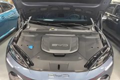 2023 BYD Seal 2023 Champion 550km Premium #10