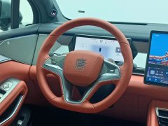 2025 BYD Tang L 2025 DM 215KMlidarFlagship #10