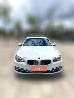 2015 BMW 5 Series 2014 2.0T AT 525LiLeading #2