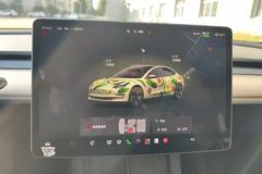 2022 Tesla Model 3 2022 rear wheel driveEdition #14
