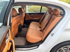 2018 BMW 5 Series 2018 2.0T AT 528LiLaunch Special #17