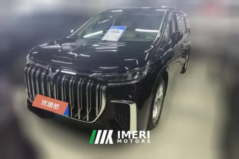 2022 Voyah Dreamer 2022 low carbonEdition think+Smart driving bag