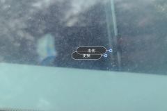 Windshield