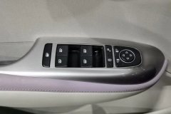 2022 BYD Dolphin 2021 401km knightEdition #12