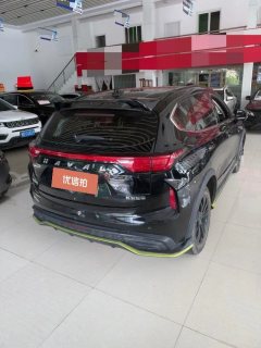 2022 Haval Chitu 2021 1.5T AT ProvokingEdition golden rabbit #6