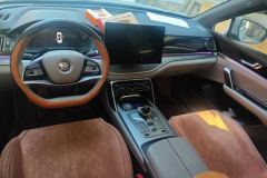 2025 BYD Tang New Energy 2025 Smart Drive DM-i 115KM Premium #12