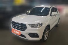 2019 Haval H2 2018 1.5T AT Create and enjoyEditionBlue LabelFashion #1