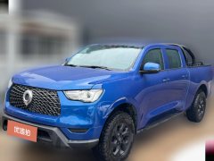 2021 Great Wall Great Wall Pao 2021 2.0T CommercialEdition AT Diesel2WDElitelong boxGW4D20M #1