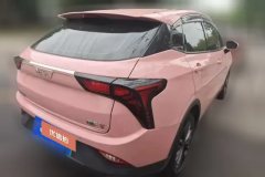 2022 Neta V 2022 AT tide 400 Lite Pink customization #3