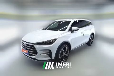 2023 BYD Tang PHEV 2021 1.5T AT DM-i 112KM Premium