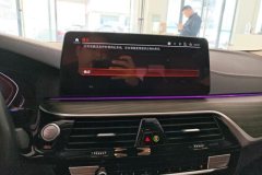 2021 BMW 5 Series 2021 2.0T AT 530LiLeadingLuxury Pkg #13