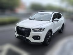 2020 Haval H6 2021 2.0T AT GTPowerQingEditionGDI #1