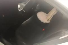 2019 Volkswagen Bora Sedan 2019 1.5 AT Comfort Facelift China VI #11