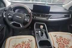 2022 Haval H6 2021 1.5T AT China tideChampion #12