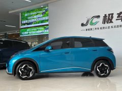 2022 BYD Dolphin 2021 405km Fashion #2
