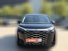 2025 BYD Xia 2025 DM-i 1.5T 100km Leading #2