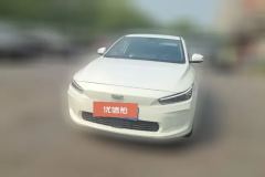 2022 Geometry A 2021 Pro PleasureHigh dimensionalRange 430KM A430 squareEdition #2