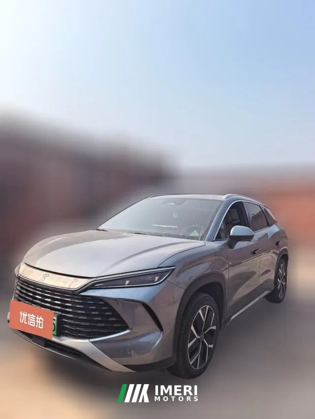 2024 BYD Song L DM-i 2024 1.5L AT 112km Surpass
