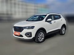 2019 Haval H2s 2018 1.5T AT Blue LabelElite #1