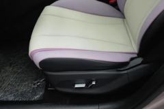 2022 BYD Dolphin 2021 405km Fashion #21
