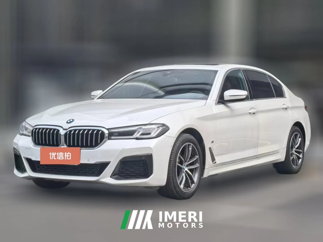 2021 BMW 5 Series 2022 2.0T AT 530Li M Sport Pkg4WD