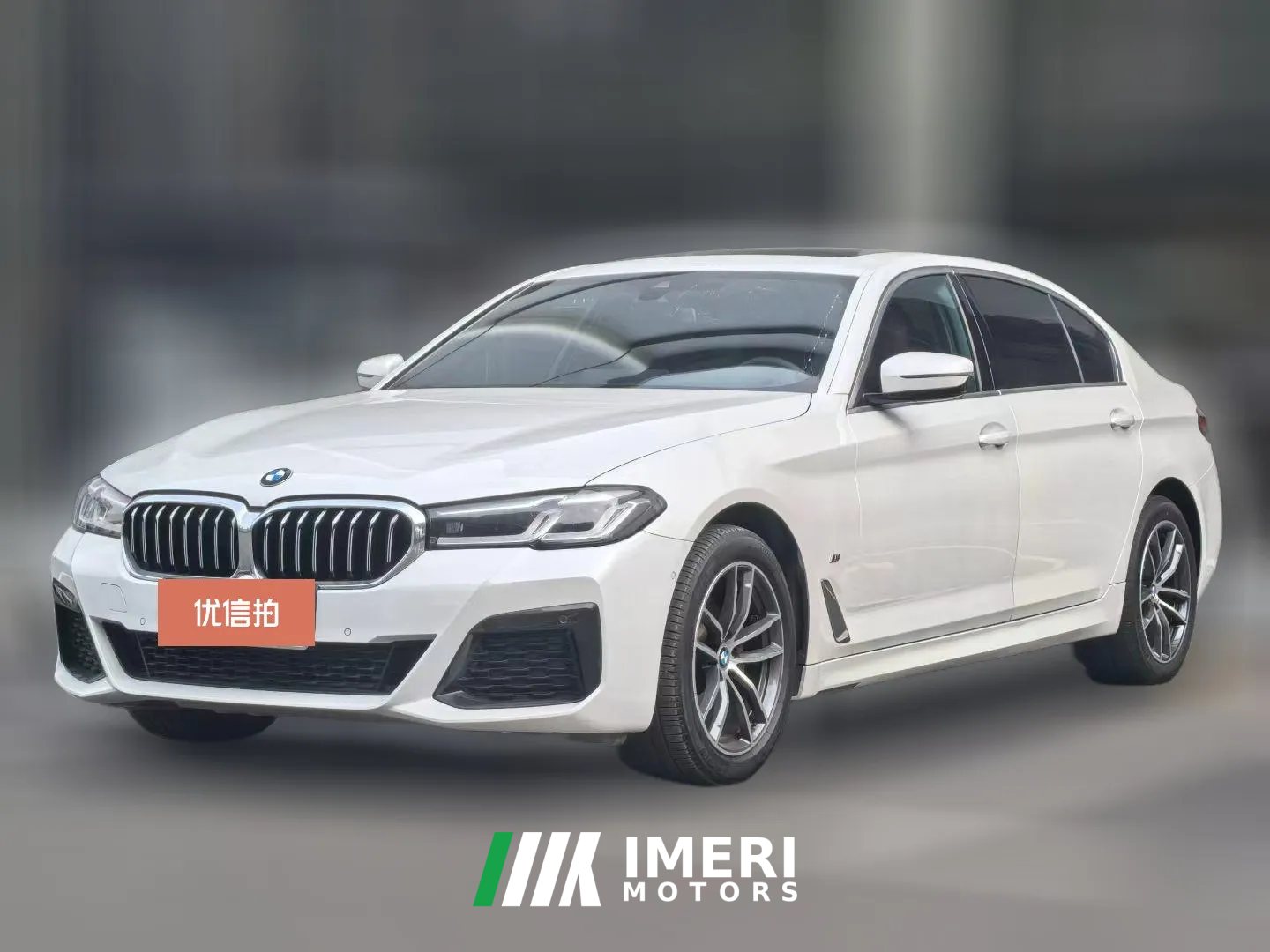 2021 BMW 5 Series 2022 2.0T AT 530Li M Sport Pkg4WD