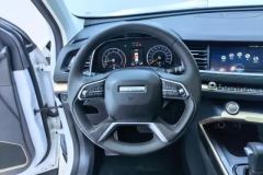 2018 Haval H6 2019 1.5T AT Blue LabelChampion #15