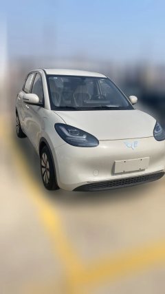 2024 Wuling Motors Wuling Bingo 2024 333km Joy #4