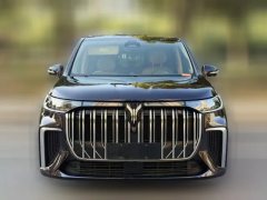 2023 Voyah Dreamer 2024 1.5T AT PHEV SuperLong RangeFlagship #2
