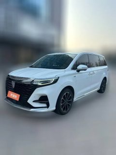 2021 Roewe iMAX8 2021 2.0T AT 400TGISupremeSeriesLu ZunEdition #1