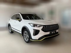 2022 Haval Chitu 2022 Power Enjoy 1.5T AT brass rabbit #2