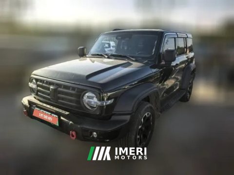 2025 Tank 300 PHEV 2024 2.0T AT Hi4-T