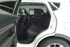 2021 Haval H6 2021 1.5T AT ChampionGDI #11