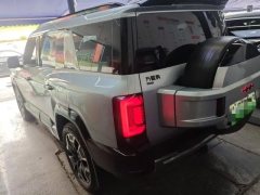 2024 Fangchengbao Bao8 2025 ZhiyongFlagship 7Seat #8