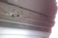 Right Sill Inner Cavity