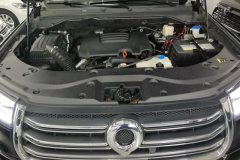 2020 Great Wall Great Wall Pao 2019 2.0TATGasoline4WDSportGW4C20B #10