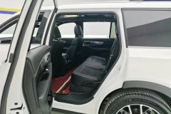 2025 GAC Trumpchi Trumpchi GS8 2025 PilotSeries 2.0TGDI AT 2WDLuxury 5Seat #11