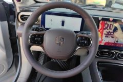 2022 Leapmotor C11 2021 Exclusive #15