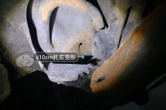 Subframe